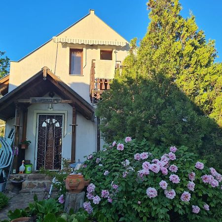 Naplopó-lak Apartman Ábrahámhegy Kültér fotó