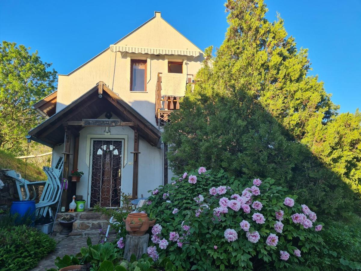 Naplopó-lak Apartman Ábrahámhegy Kültér fotó